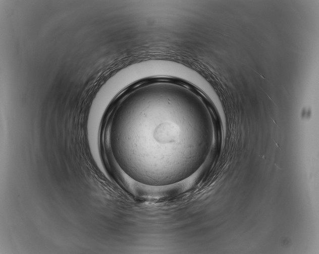 X0000090890818200707271330