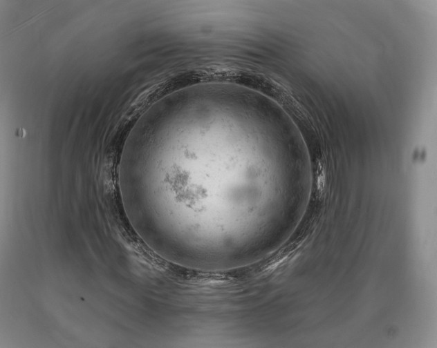 X0000090890819200707271330