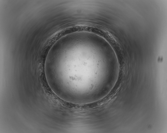 X0000090890821200707271330