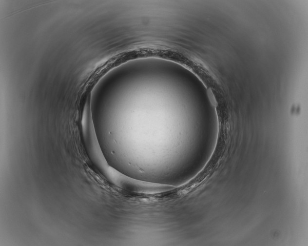 X0000090890822200707271330