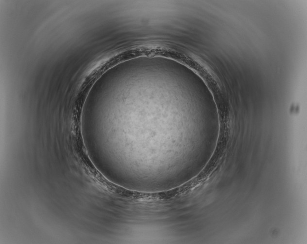 X0000090890823200707271330