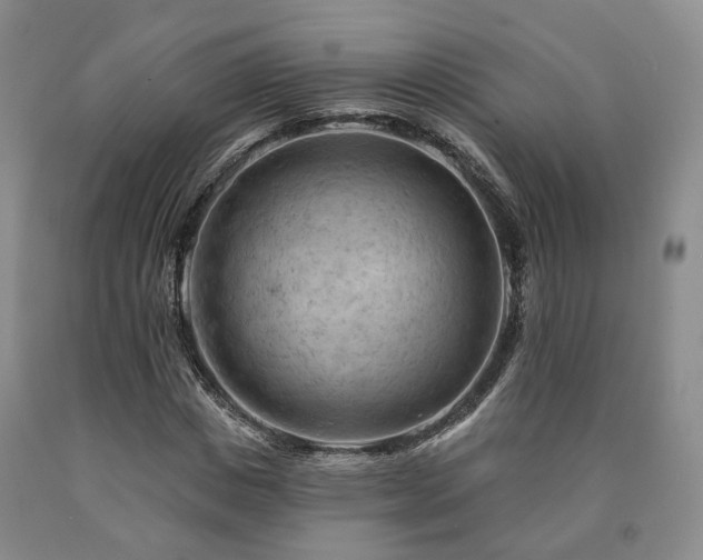 X0000090890825200707271330