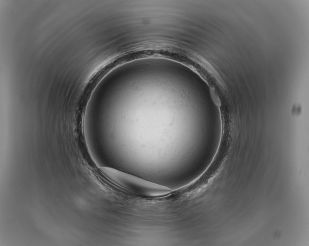 X0000090890826200707271330