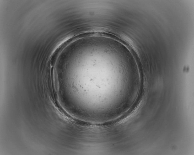 X0000090890827200707271330