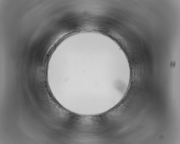 X0000090890828200707271330