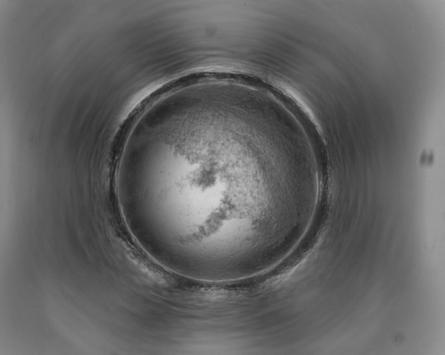 X0000090890829200707271330