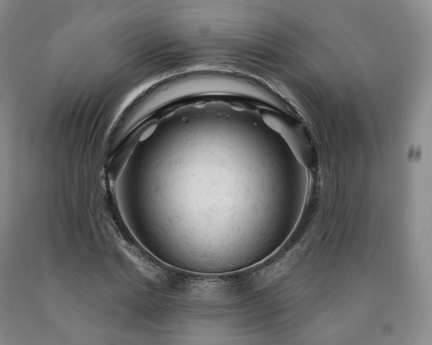 X0000090890830200707271330