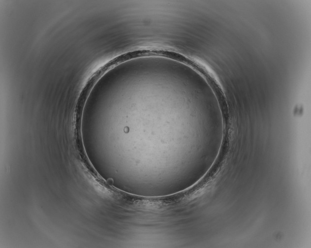 X0000090890831200707271330