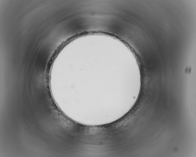 X0000090890832200707271330