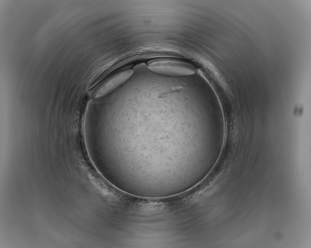 X0000090890833200707271330