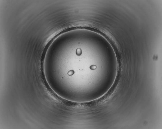 X0000090890834200707271330