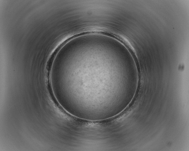 X0000090890835200707271330