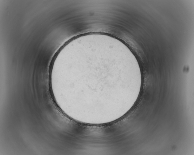 X0000090890836200707271330