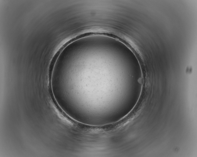 X0000090890837200707271330