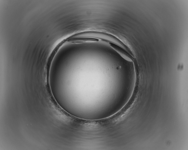 X0000090890838200707271330