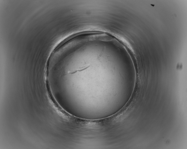 X0000090890839200707271330