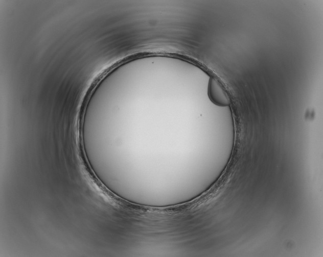 X0000090890840200707271330