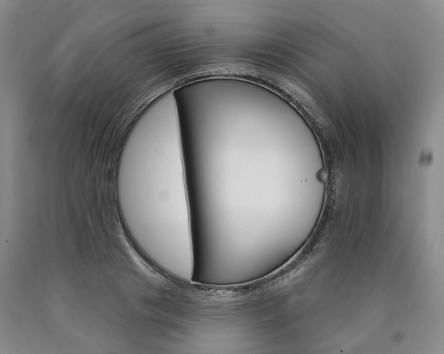 X0000090890841200707271330