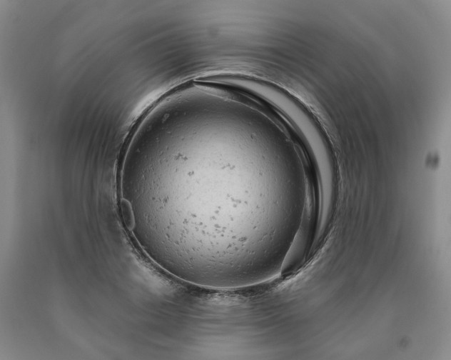 X0000090890842200707271330