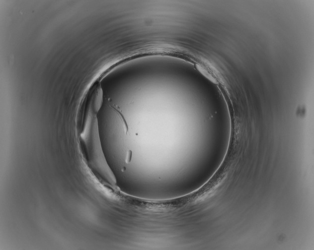 X0000090890843200707271330