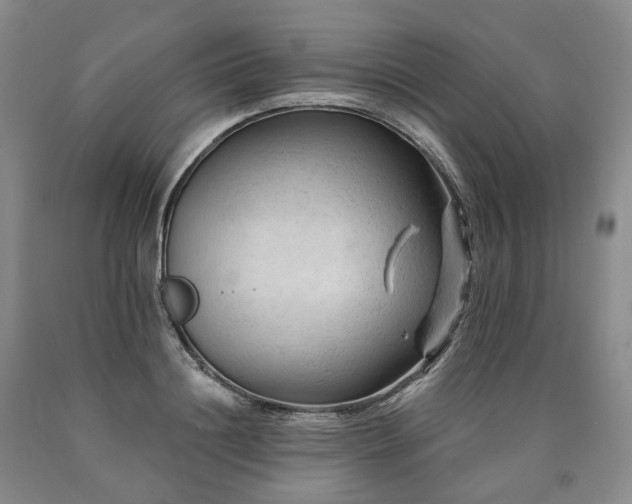 X0000090890844200707271330