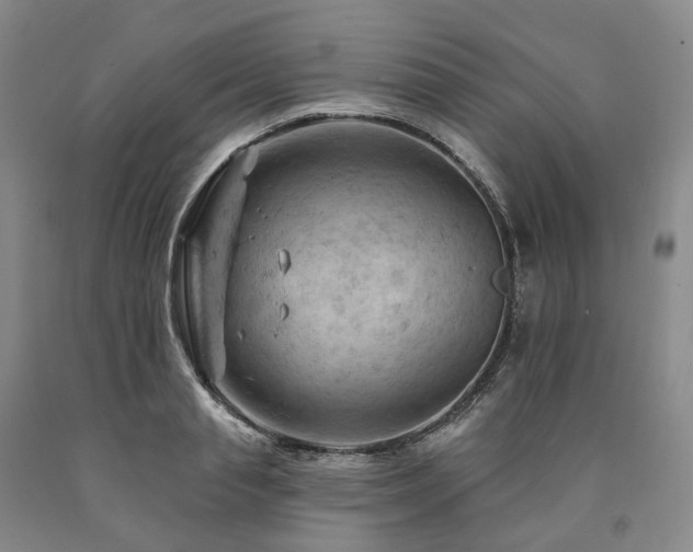 X0000090890845200707271330