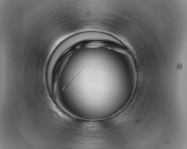 X0000090890846200707271330