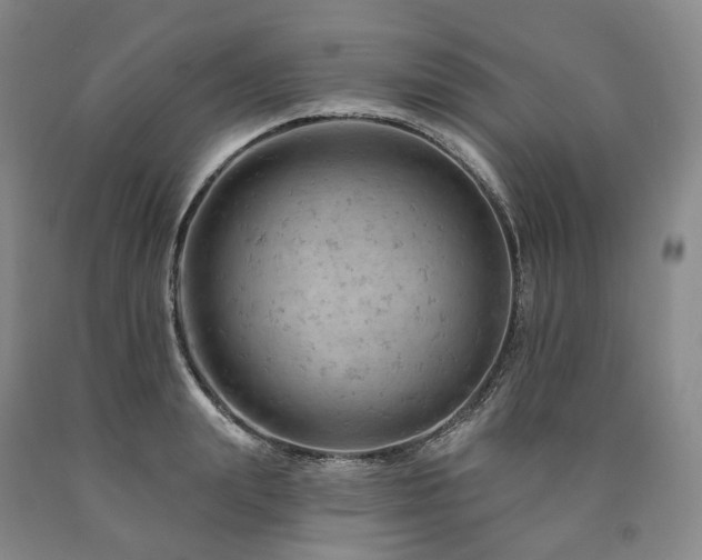 X0000090890847200707271330