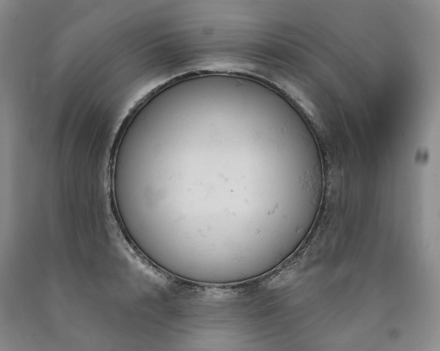 X0000090890848200707271330