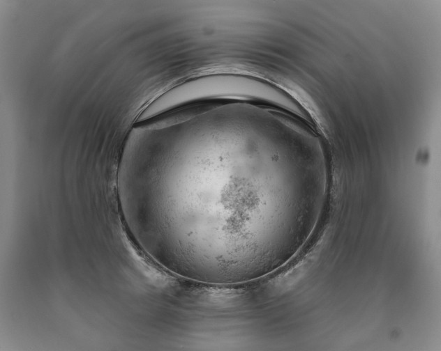 X0000090890849200707271330