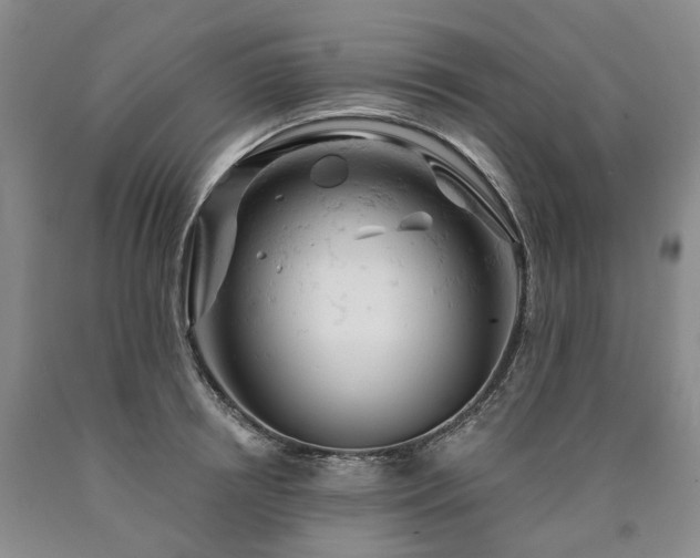 X0000090890850200707271330