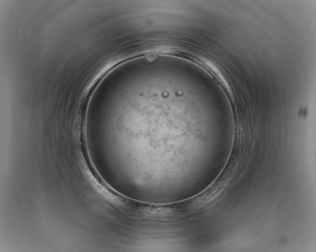 X0000090890851200707271330