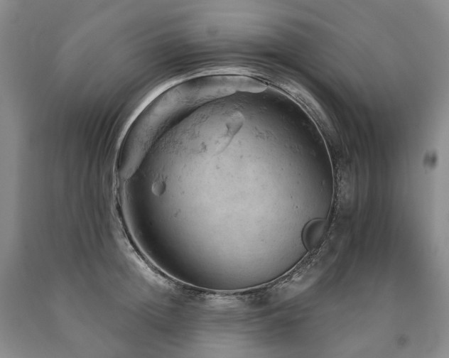 X0000090890852200707271330