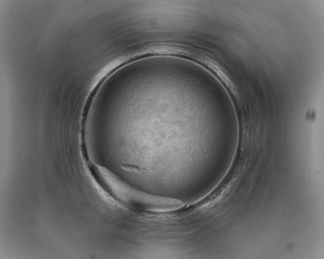 X0000090890853200707271330