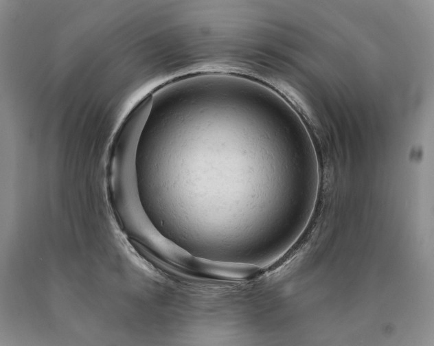 X0000090890854200707271330