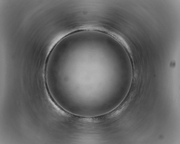 X0000090890855200707271330