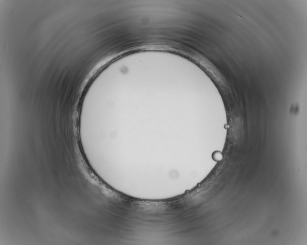 X0000090890856200707271330