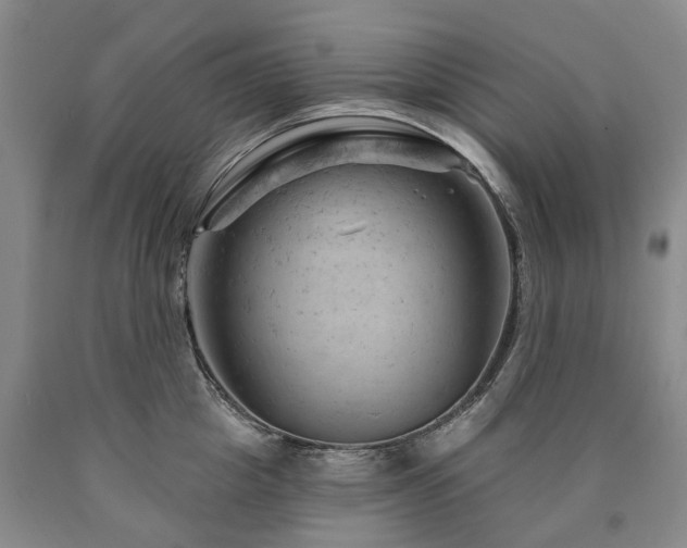 X0000090890857200707271330