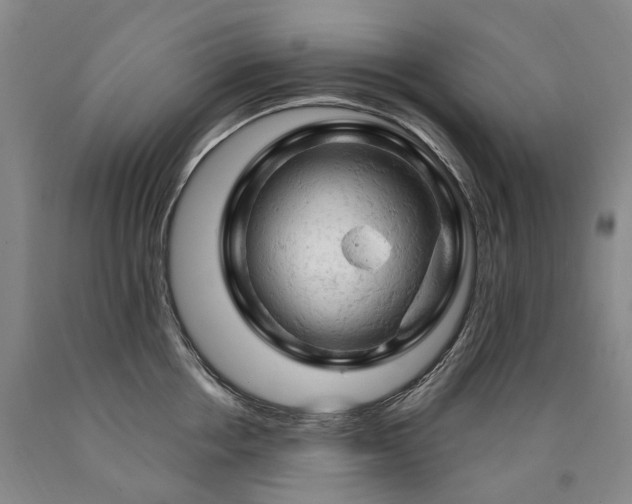 X0000090890858200707271330