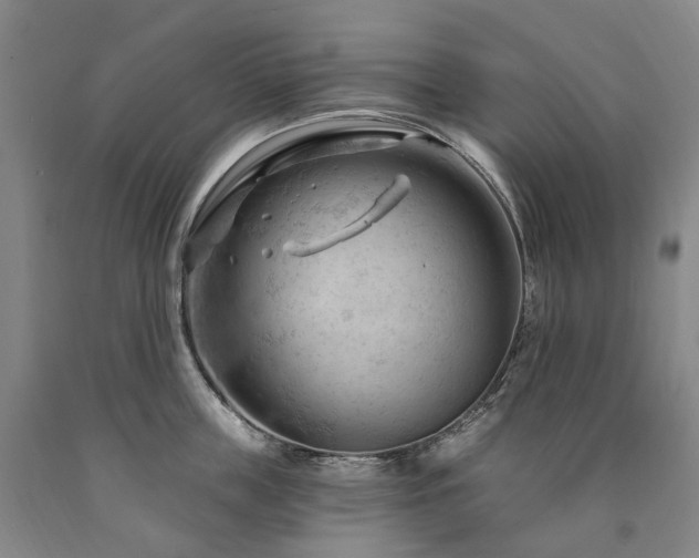 X0000090890859200707271330