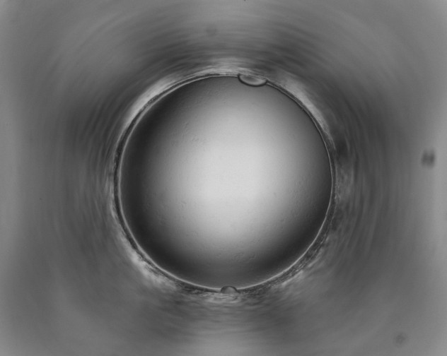 X0000090890861200707271330