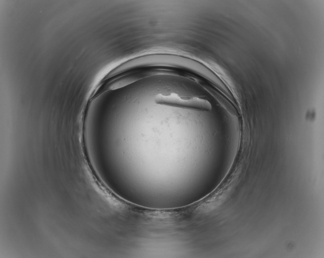 X0000090890862200707271330