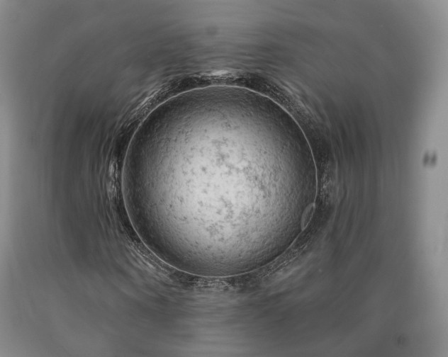 X0000090890866200707271330