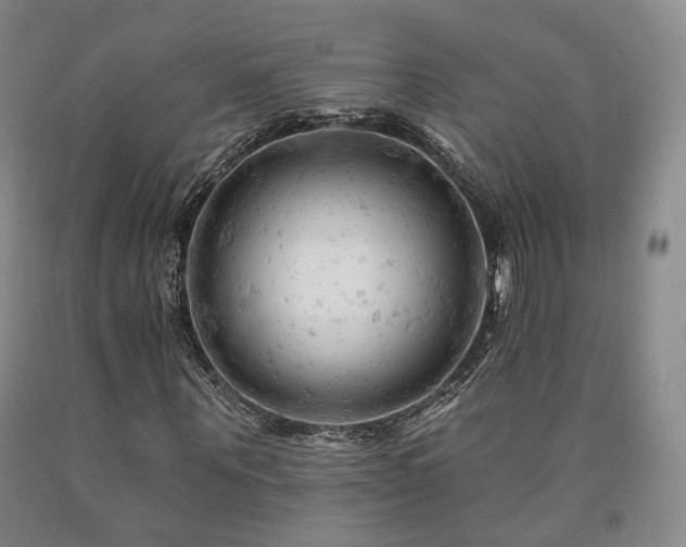 X0000090890867200707271330