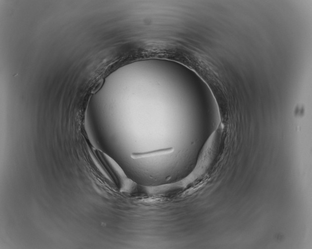 X0000090890868200707271330