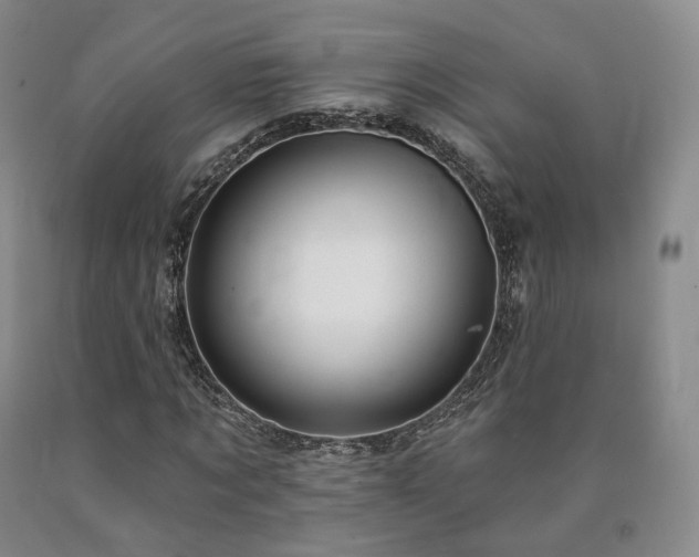 X0000090890869200707271330