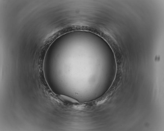 X0000090890870200707271330