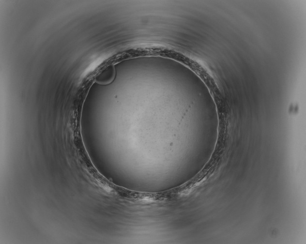 X0000090890871200707271330