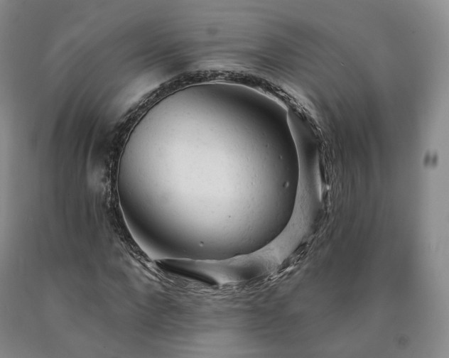 X0000090890872200707271330