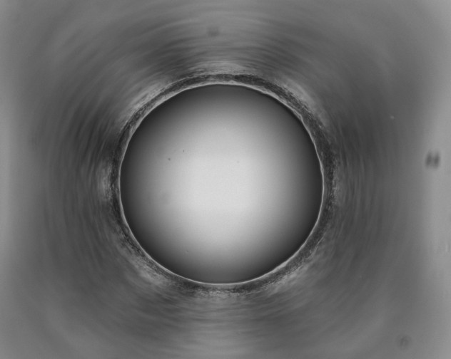 X0000090890873200707271330